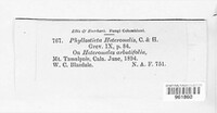 Phyllosticta heteromeles image